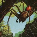 Deadly Recluse
