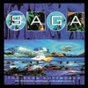 SAGA - SOFTWORKS