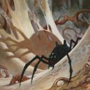 Penumbra Spider