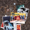 TORI AMOS - WELCOME TO SUNNY FLORIDA