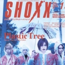 Shoxx Plastic Tree