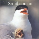 Smithsonian August 1980
