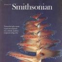 Smithsonian January 1981