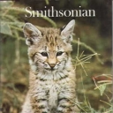 Smithsonian June 1981