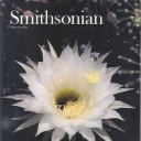 Smithsonian February 1982