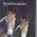 Smithsonian November 1983