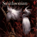 Smithsonian November 1988