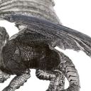 Large Shadow Dragon 57/60 R