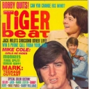 Tiger Beat 4/1970