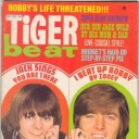 Tiger Beat 5/1970