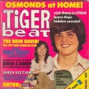 Tiger Beat 5/1972
