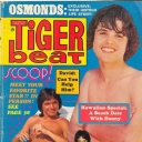 Tiger Beat 8/1972