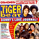 Tiger Beat 2/1973