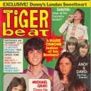 Tiger Beat 4/1973