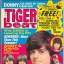 Tiger Beat 6/1973