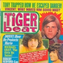 Tiger Beat 12/1974