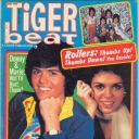 Tiger Beat 3/1976
