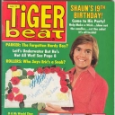 Tiger Beat 11/1977