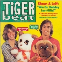 Tiger Beat 12/1977