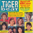 Tiger Beat 1/1978