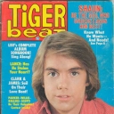 Tiger Beat 2/1978
