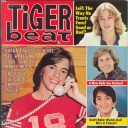 Tiger Beat 3/1978