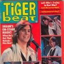Tiger Beat 5/1978