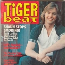 Tiger Beat 6/1978