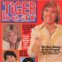 Tiger Beat 10/1978