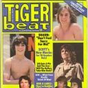 Tiger Beat 11/1978
