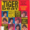 Tiger Beat 11/1979