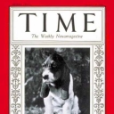 Time Baby Basset Hound - Feb. 27, 1928 - Dogs - Animals