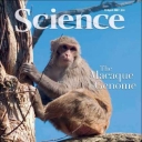 Various Magazines Science