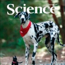 Various Magazines Science