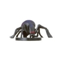 Spider of Lolth 57/60 C