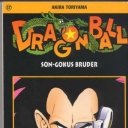 Dragonball #21