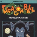 Dragonball #22