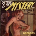 Spicy Mystery Spicy Mystery