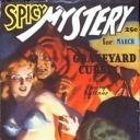 Spicy Mystery Spicy Mystery