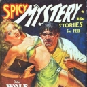 Spicy Mystery Spicy Mystery