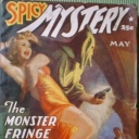 Spicy Mystery Spicy Mystery