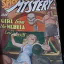 Spicy Mystery Spicy Mystery