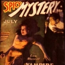 Spicy Mystery Spicy Mystery