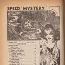 Spicy Mystery Spicy Mystery