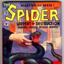Spider Spider