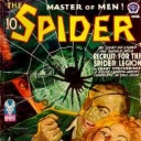 Spider Spider
