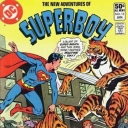 New Adventures of Superboy #13