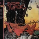 Books of Magic #14