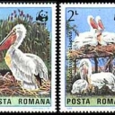 Animale ocrotite in rezervatiile din Romania