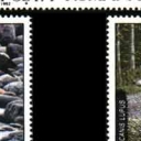 Fauna din regiunile nordice